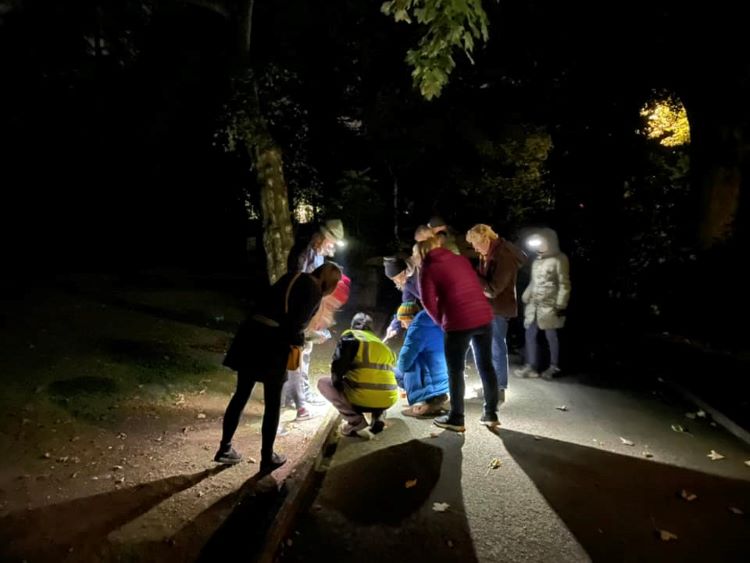 torchlight in darkness and people crouching